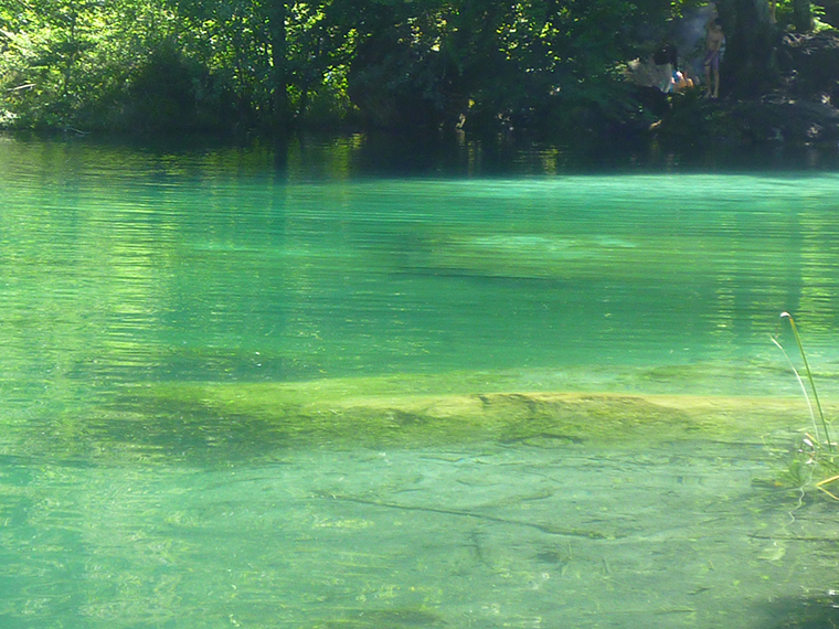 Bild "Aktuelles:Sommerpause.jpg"